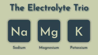 electrolytes